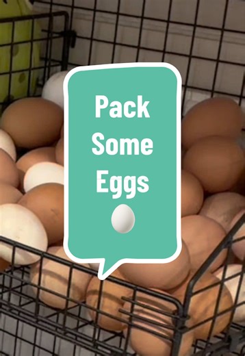 Package up some eggs with me! 🥚☀️🐓🌻 #homestead #farmfresh #eggs #chickens #cainacres