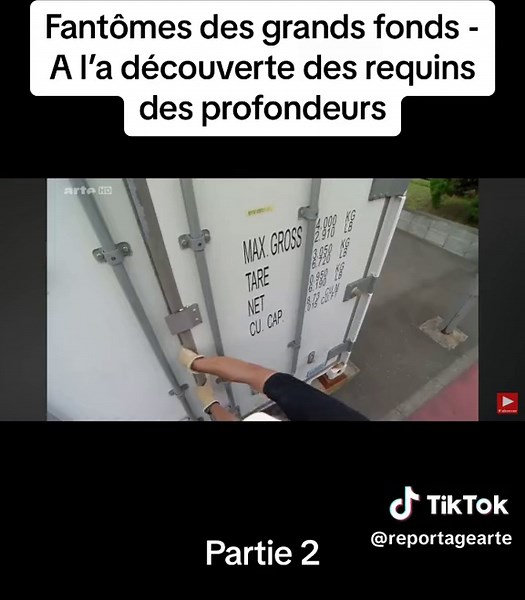 Fantômes des grands fonds - A la découverte des requins des profondeurs