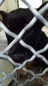 42 reactions · 33 shares | LEXI is a sweet 3 month old baby and she...