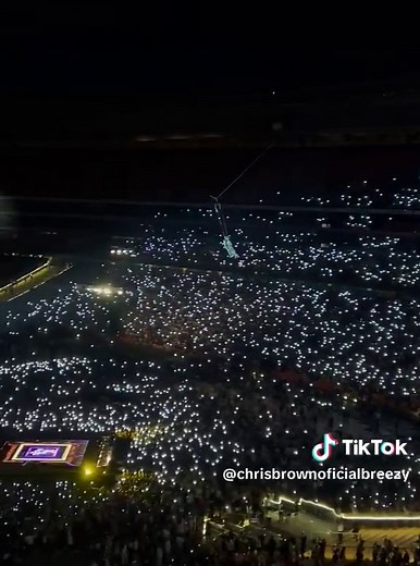 Chris Brown Concert in South Africa: 94K Attend