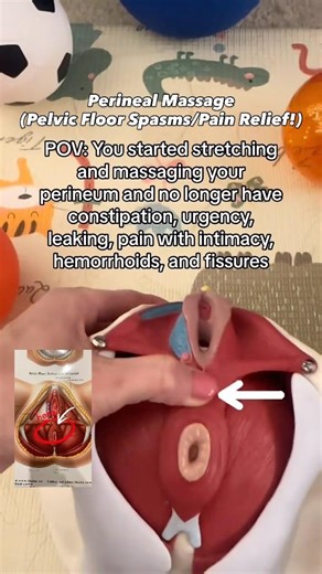 Perineal Massage (Pelvic Floor Spasms/Pain Relief! FREE DEMO #massage #doctor #dpt #mom #pregnancy