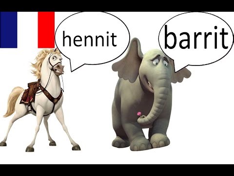 des bruit animaux chanson version dessins animés audio français