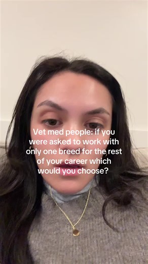 Choosing a Dog Breed as a Vet: Shibas, Chihuahuas, and More