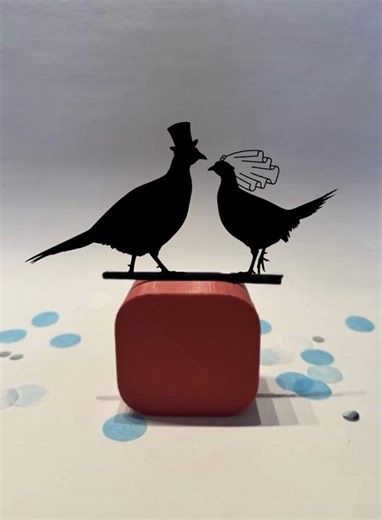 Custom Pheasant Bride & Groom Wedding Cake Topper – Rustic Woodland Bird Couple – Country Farm Wedding Décor – Custom Pheasant Cake Topper - Etsy UK