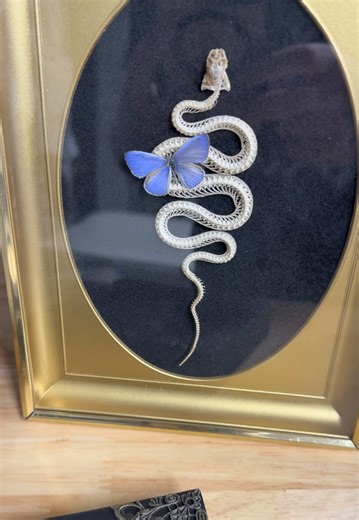 Inkaddicttattoostudio (@inkaddicttattoo_studio)’s videos with original sound - Pure Music 🎧