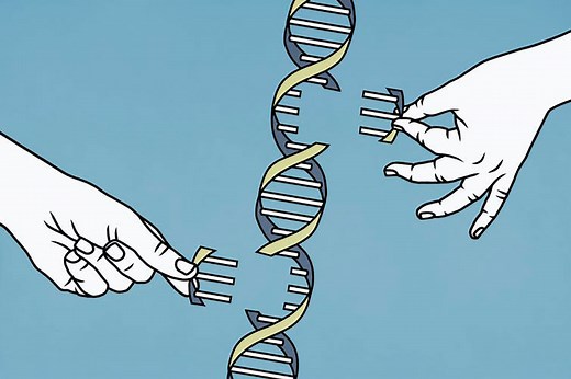 The Human Genome Project pieced together only 92% of the DNA – now scientists have finally filled in the remaining 8%