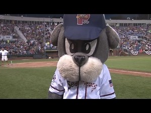 Slugger the Sea Dog - 2016 Season Highlights