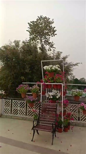 Resort View##Different types of video @different 502