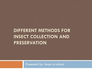 Different methods for insect collection and preservation - SlideServe