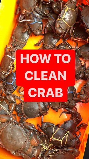 How to clean crabs 呂 #crab #crabcleaning #tomysfishhub | Tomy’s Fish Hub | Facebook