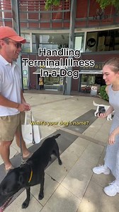 Coping with a terminal illness in a pet can be incredibly difficult. Donald's owner shares his perspective. 🐾 #dog #dogs #pet #pets #nurtureyourpet #dogsofinstagram #streetinterview #doginterview #petinterview | Nurture your Pet