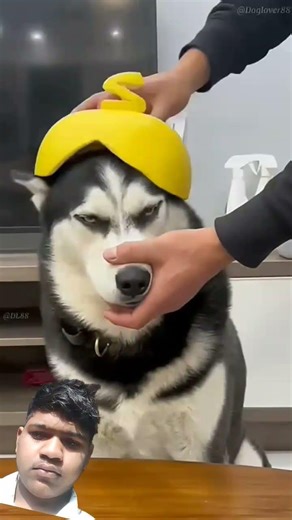 last Wale Ko janne ke liye like aur subscribe Karen#india #manjiripupala #barbardekho