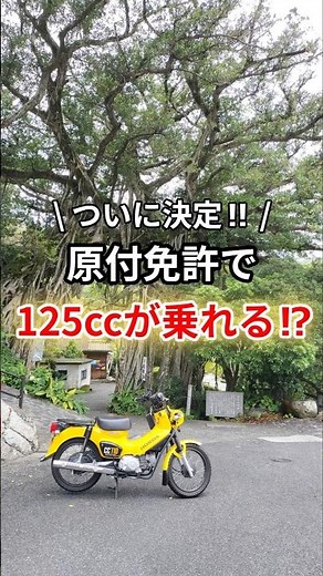 原付免許で125ccが乗れる！？というのは、パワー制御されたバイクに限ります🛵💨新基準原付として区分され、原付の交通ルールは変更されないので注意しましょう😅 #新基準原付 #原チャでニホイチ