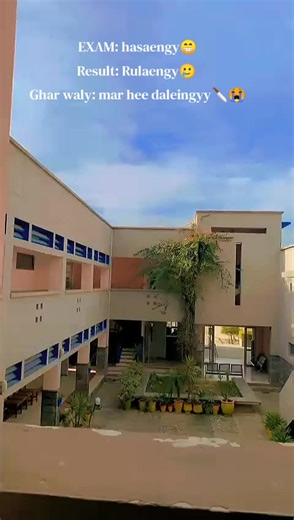 Understanding Student Exam Reactions and Results