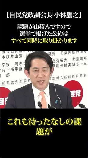 [LDP Policy Research Council Chairman Takayuki Kobayashi] We have a mountain of issues to address...