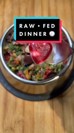 Can Dogs Eat Raw Mince? Raw Diet Explained