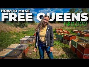 This Simple Split Method Saved Us Thousands! #beekeeping