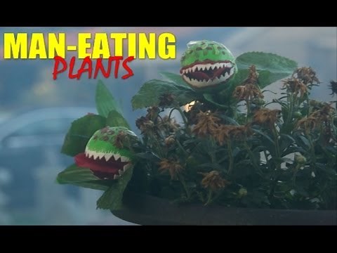 DIY Halloween Decoration Monster Plant Idea
