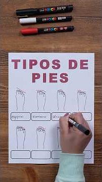 The different types of feet