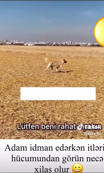 Şiddete Hayır: İnsanlığa Dair Önemli Mesajlar