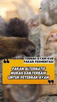 ALTERNATIVE CHICKEN FEED
