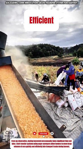 Auloading Corn innovation Grain Transfer System for Harvest