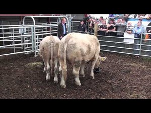 "Sustainable Livestock Demonstration" by the Farmers Journal Livestock team