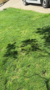 📹✨ Veja o nosso robot corta-relva Husqvarna em ação na casa do Cliente! O resultado? Relva impecável sem esforço e 100 % de satisfação. 🌱👌 E tu, também estás farto de cortar a relva à mão? Conta-nos nos comentários! 👇 #Husqvarna #RobotCortaRelva #JardinagemAutomática #ClienteSatisfeito #AdeusÀRelva | XISTO AZUL