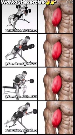 #fitnesslabo