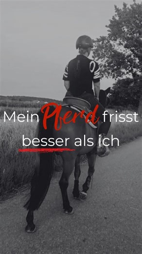 Vanessa | Mit Instagram das eigene Pferd finanzieren on Instagram: "Ich schwör, mein Pferd frisst besser als ich 😅 Spezialfutter, Mash, Leinöl, Zusatzstoffe – alles fein abgestimmt 🧾✨ Und ich? Esse, was übrig bleibt. Wenn überhaupt 😅 Ich sag immer: Ich gönn mir nix, aber mein Pferd frisst wie’n olympischer Athlet 😅🐴 Ich kenn jede Futtermischung im Regal, aber frag mich bitte nicht, was ich diese Woche selbst gegessen hab 🙈 Wenn du dich da wiedererkennst (und gerade schmunzeln musstest 😅),