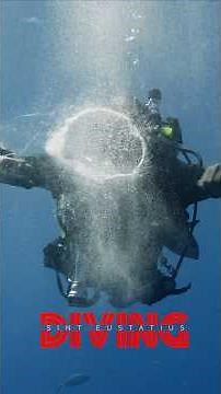 Scuba Diving Sint Eustatius also known as Statia. #scuba #diving