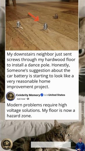 How should property boundaries function when neighbors ignore common sense?