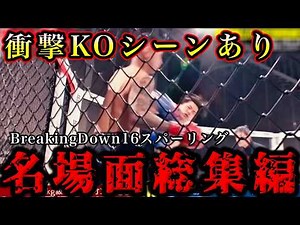 [Shocking KO scenes included] Breaking Down 16 Sparring Famous Scenes Summary [Mikuri Asakura/Kai...