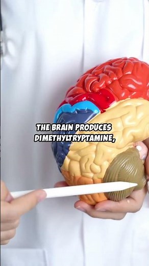 The Eye of Horus & DMT: Ancient Egyptian Secrets?