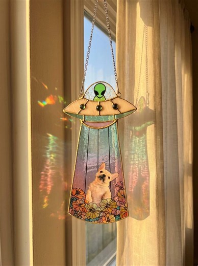 Custom Stained Glass Pet Portrait in UFO, Personalized Dog Cat Alien Spaceship Suncatcher, Pet Memorial Gift, Funny Alien Abduction Wall Art - Etsy