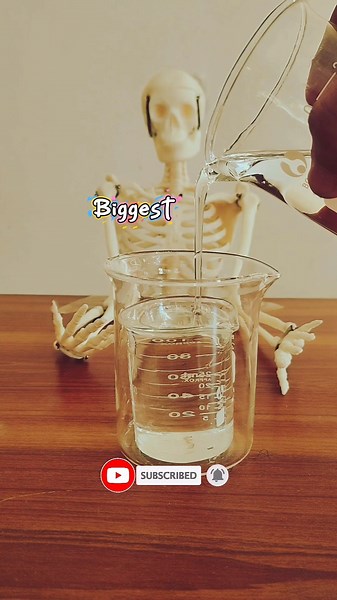 The Mystery of the Invisible Beakers