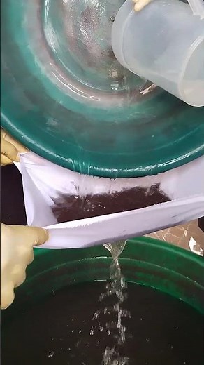 gold elution process