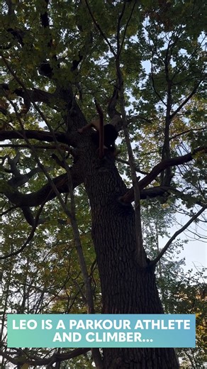 41K views · 216 reactions | Ok now I miss climbing trees | People Are Awesome | Facebook