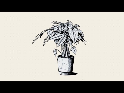 i modeled 5 developer career paths — here's how their net worth compares