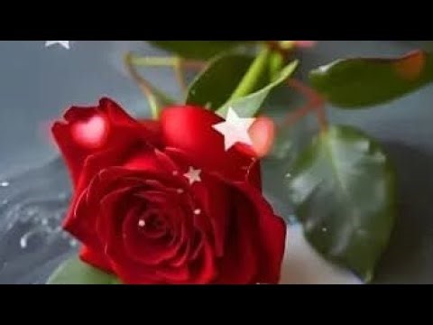 AT WORKTIME NOON! A NEW WEEK OF SPRING! VASEVSKY DOESN'T KNOW WHAT TO SHOW ANYMORE 🤣