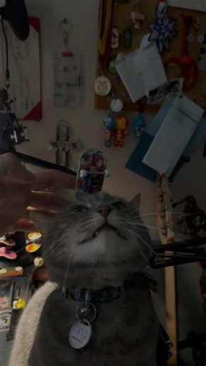 Kick Flip Community Challenge