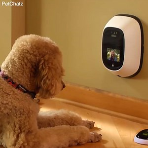 Now your pet can call you... | VT