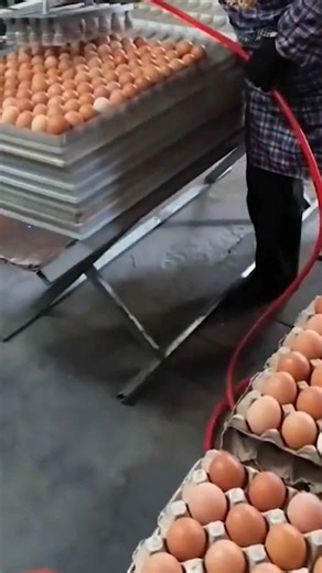 The Art of Craftsmanship and Precision in Action