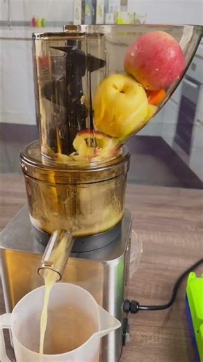 600W Stainless Steel Commercial Juicer 🍹