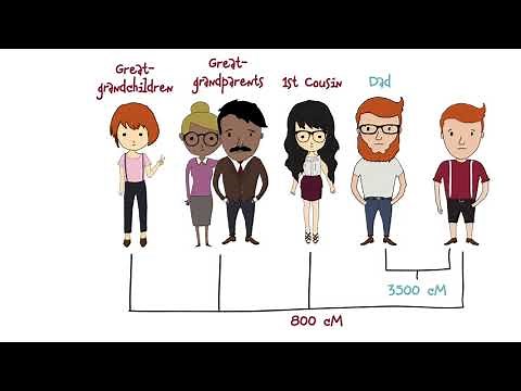 What is a Centimorgan? | Centimorgans Explained