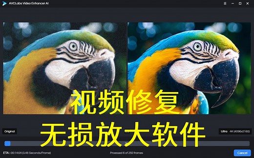 功能逆天视频智能修复无损放大软件 AVCLabs Video Enhancer AI 2.0.0 x64 破解版
