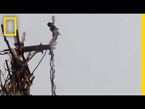 Amazing POV: Jump With the Original Bungee Jumpers | National Geographic