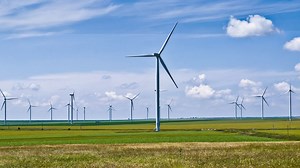 Wind Farms Cause More Environmental Impact Than Previously Thought