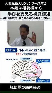 Brain pathways for visual perception #ADHD #LearningDisability #AutismSpectrumDisorder #Developme...