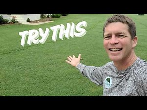 Lawn Care Tips - 4 Steps to a GREAT Lawn!